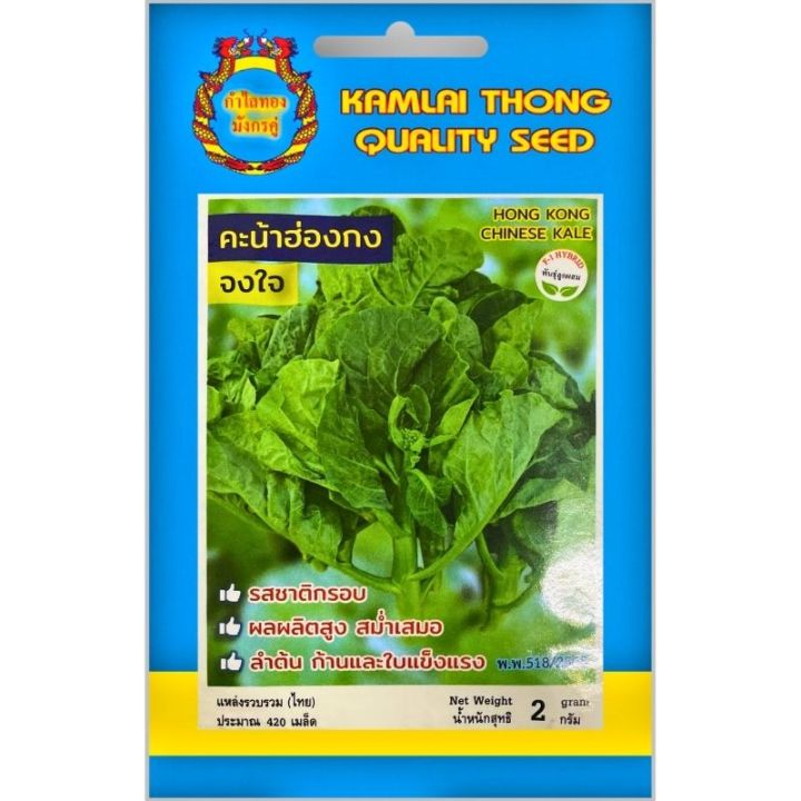 เมล็ดพันธุ์คะน้าฮ่องกงลูกผสม จงใจ ตรากำไลทอง