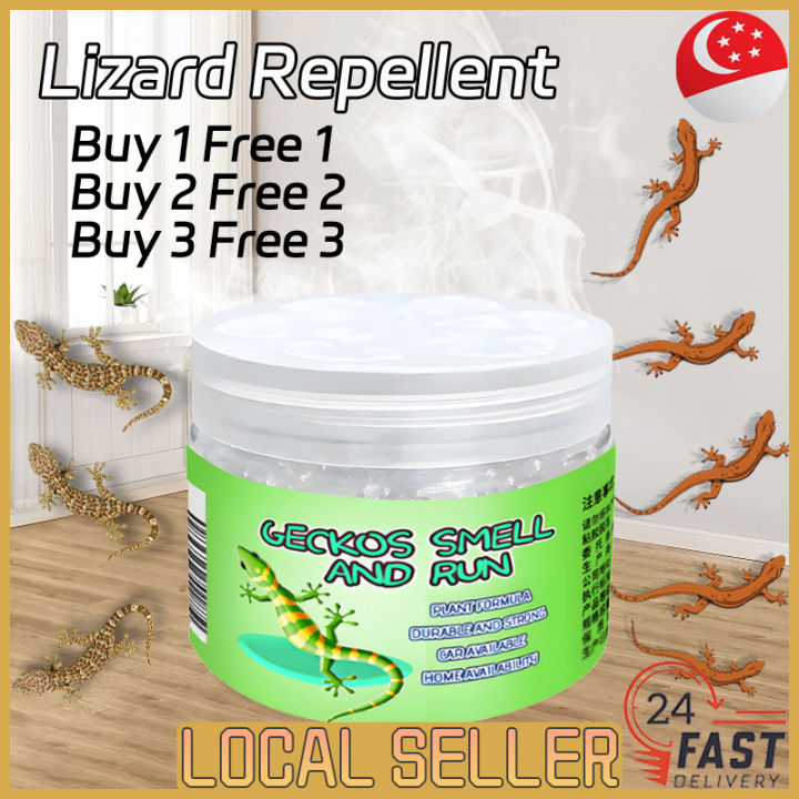 🇸🇬 [READY STOCK]Lizard repellent Plant formula is upgraded Lizard Trap ...