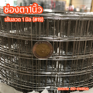 (แท้100%) ตาข่าสแตนเลส304 ช่องตา1" 3/4" 1/2" 1/4" (ม้วน15เมตร/30เมตร) ลวดตาข่าย กรงนก ตาข่ายล้อมไก่ ชูก้าไรเด้อ ตาข่ายกันนก ตะแกรงกรงสัตว์