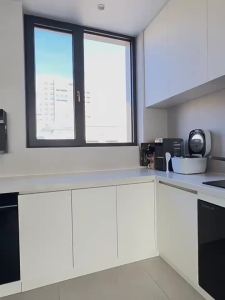 FFBH Modern Embedded Kitchen Bins Simple Dry Wet Separated Pull Type Waste Bins Creative Convenient Multifunctional Home Decoration Q9Z6P