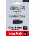 Tafsir Jalalain /TAFSIR JALALAIN Jalaluddin Al Mahalli dan Jalaluddin As Suyuthi/Kitab TAFSIR JALALAIN/Tafsir Al Qur'an /Ngaji Tafsir Jalalain/Kajian Tafsir Jalalain/Makna Tafsir Jalalain ala Pesantren/Flash Disk/Flash Disk Sandisk. 