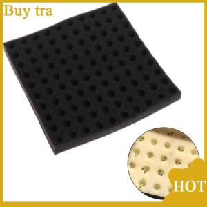 [Buytra] 100 miếng bọt biển Vườn Ươm rau thủy canh không đất trồng nước