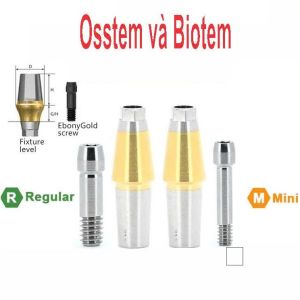 Abutment Cho Osstem/Hiossen/Biotem R Implant Nha Khoa