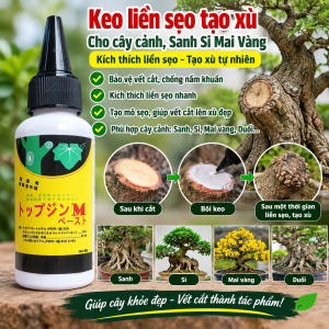 Keo Liền Sẹo Tạo Xù 50ml Cho Mai Vàng Bonsai – Keo Bôi Vết Cắt Cành Tạo U Nần Thân Cây