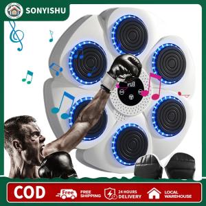 【New Arrival】 Kicking Target for Boxing - Music Reaction Wall Target for Kids and Adults with Type C Charging