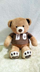 Dreamtoys96 Boneka Teddy Bear Beruang Telapak Love You With Baju XL