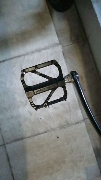 Buyer review video 2