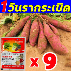 ปกป้องผลไม้ ป้องกันรูปร่างพิการ ธาตุอาหารเสริม 90g ซื้อ 1 ได้ 3 ธาตุอาหารรวม 16 ให้โภชนาการแก่ผลไม้ 5 เท่า ธาตุอาหารรองเสริม แตงโม มะเขือเทศ ขิง กระเทียม มันฝรั่ง หัวไชเท้า จุลธาตุอาหารพืช เหมาะสำหรับผักผลไม้ทุกชนิด ธาตุอาหารรอง16 แคลเซียมโบรอน