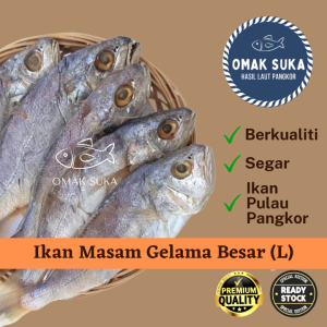 Ikan Gelama Masam Sedang Besar 5A (250g) Segar Ikan Masin Gelamah Masam