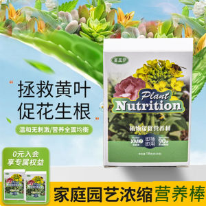 Plant Nutrient Sticks Plant Food Home Garden/Quick Nutrient Supply/Reduces Yellow Leaves/Indoor Potted Plants/For All Ages/Gardening Enthusiasts
