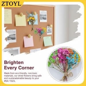 ZTOYL Đám cưới chú rể buttonholes 1pcs mini tự nhiên hoa khô bó hoa Phù Dâu Corsage handmade mộc mạc sự kiện