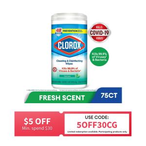 Clorox Disinfecting Cleaning Wipes Fresh Scent 75s