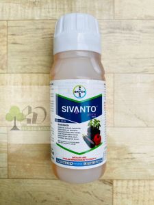 Insektisida SIVANTO PRIME 200 SL dari BAYER
