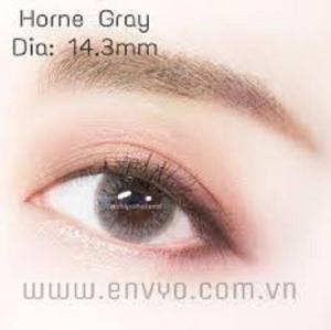 Kính áp tròng màu xám 0 độ 1 năm tặng khay gương mini dụng cụ kẹp gắp - CONTACT LENS VASSEN - HÀN QUỐC ( cao cấp màu chuẩn ) MUA 3 TẶNG 1 (61)