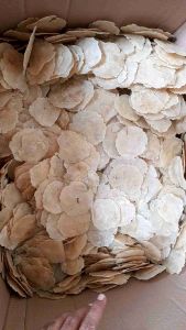 EMPING MELINJO MENTAH ORIGINAL KHAS BANTEN