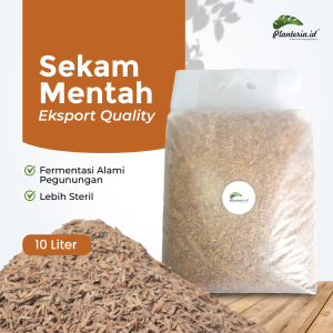 Media Tanam Sekam Fermentasi Alami Siap Pakai Pengunungan By Planteria.id