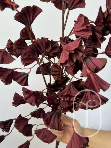 Bunga Imlek / Bunga Palsu / Bunga Maroon / Bunga Kuning / Bunga Abu / Bunga Bellbell