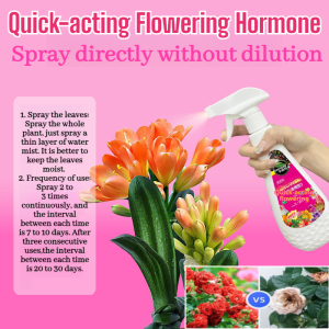Quick-Acting Flowering Hormone Plant Liquid Fertilizer Flower Plant Nutrient Solution Suitable For All Plants Promote Plant Grows