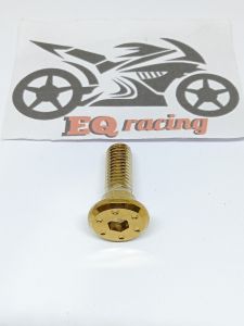 Baut disc cakram gepeng bintik stainless semua motor universal