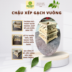 CHẬU XẾP GẠCH VUÔNG – GỖ SAO CAO CẤP - MAI HUY SINCE 2008