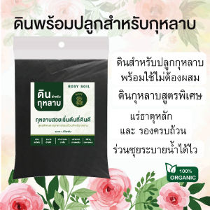 Rosy ดินกุหลาบ ผสมขุยมะพร้าว มูลไส้เดือน แกลบหมักอินทรีย์ หมักกับน้ำหมักชีวภาพจากปลา