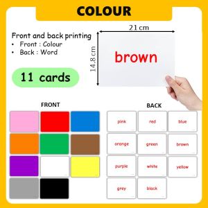 Big Flash Card Early Development ABC Flash Card for Baby Numbers Flash Card Early Learning Flash Card Big Size Big Flash Card for Baby