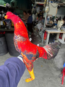 GÀ 8D RÈN LUYỆN THỂ LỰC CHO GÀ CHỌI GÀ NÒI GÀ TRE