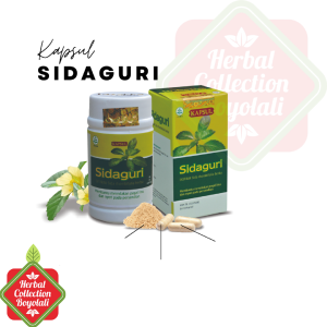 TAZAKKA Ekstrak Sidaguri Herbal Anti-Rendam & Anti-Fungal - Paket Herbal Pencernaan 60 Kapsul