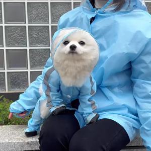 Tractionable Small Dog Four-Legged Raincoat Waterproof Full Coverage with Feet for Small Dogs Bichon TeddyRainy Day Dog Clothes