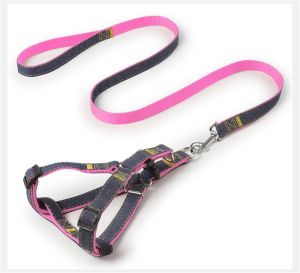 Candy Dog Harness / Tali Tuntun Harnes / Rantai Anjing Kucing Pet Belts Uk. XL