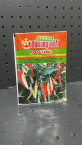 SIGANTUNG Benih cabai Rawit 10 gram Bintang Asia