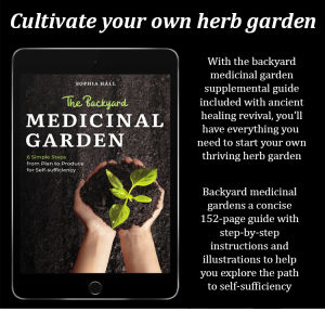 Original Picture Of Ancient Therapy Ancient Herbal Book Manual Knowledge Original Figure Remedy Therapy Mystery Herbal Book Therapy古代疗法原图