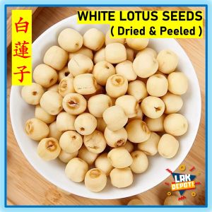 Dried Lotus Seeds (白蓮子 Lian Zi White Peeled Skinless Seed) Premium Chinese Herbal - 250g / 500g