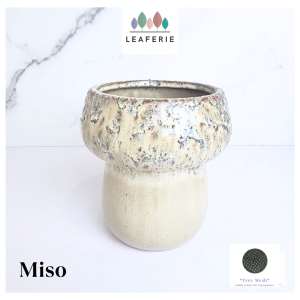 The Leaferie Miso plant pots Ceramic flowerpot flowerpots flower pot planter planters