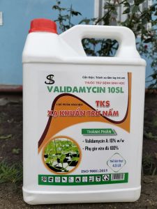 VALIDAMYCIN 10SL Chuyên Trừ  Bệnh Héo Xanh Thối Cổ Rễ Khô Vằn - Can 4.5 Lít