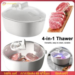 Winnereco 4 in 1 เนื้อเยื่อเนื้อที่ละลายน้ำแข็งเนื้อสัตว์สดการเก็บเนื้อสัตว์ defroster อาหารเนื้อสัตว์อาหารสดการเก็บอาหารเนื้อสัตว์ defroster
