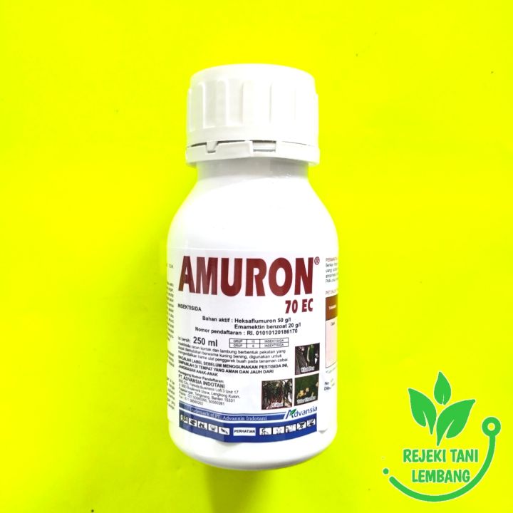 Zorlash porno videolari kerak