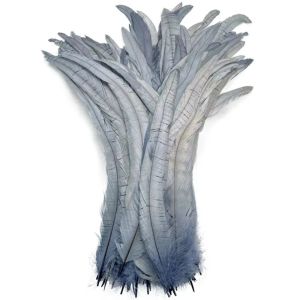 GURUNGMANI 20Pcs Natural Feather Rooster Tail Feathers 25-30cm Length Decorative Feather Plumes Natural Rooster Feathers Firm Quill Feather Jewelry Making Costume Accessories