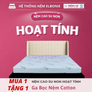 SALE ĐẦU NĂM - NỆM CAO SU NON HOẠT TÍNH THẮNG LỢI *Chính Hãng* - Bảo Hành Xẹp Lún 15 NĂM - ĐỦ SIZE - QUÀ TẶNG 7 MÓN - Khán Khuẩn Khử mùi siêu tốt
