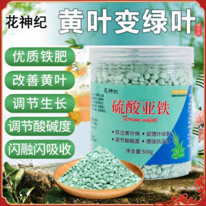 Iron Sulphate Fertilizer Ferrous Sulphate Nutrient soil for Gardenia Flower Plant Photosynthesis Booster 硫酸亞鐵花肥料
