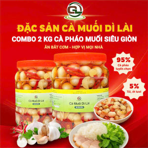 Combo 2kg Cà Muối Chua Ngọt Dì Lài - Đặc Sản Hà Tĩnh