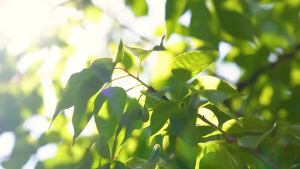 แฟนพัดลมมินิแอร์แคนนอน พัดลมพกพาแบบใช้ USB พร้อมระบบระบายความร้อนด้วยเซมิคอนดักเตอร์