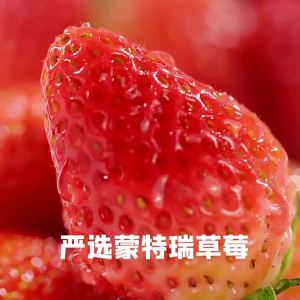 Chocolate Coated Freeze Dried Strawberries Premium Strawberry Chocolate