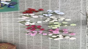 Cành Hoa Cẩm Chướng Phăng Bông To 10 Bông Dài 80cm Hoa 8cm Hoa Lụa Cao Cấp - Hoa Lụa Hạnh Hoan