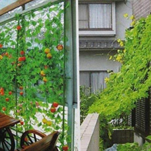 1.8M*3.6M Garden Fence Climbing Net: Your Ultimate Plant Support