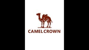 Túi đựng điện thoại Camel Crown đeo cánh tay thích hợp khi chạy bộ thể thao cho nam và nữ