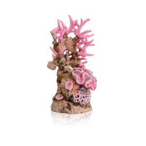 BiOrb Coral Reef [Pink] (BiOrb Ornament)