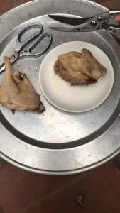 Kéo cắt gà vịt Đức chính hãng không rỉ cứng cáp cắt nhanh không nát dễ cầm a tiện sử dụng