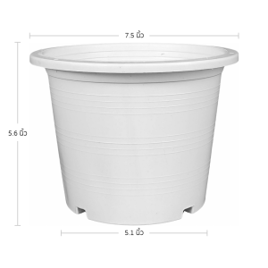 กระถาง กระถางต้นไม้ กระถางพลาสติก เบอร์ 2 3 4 5 6 7 8 9 10 12 นิ้ว สีขาว