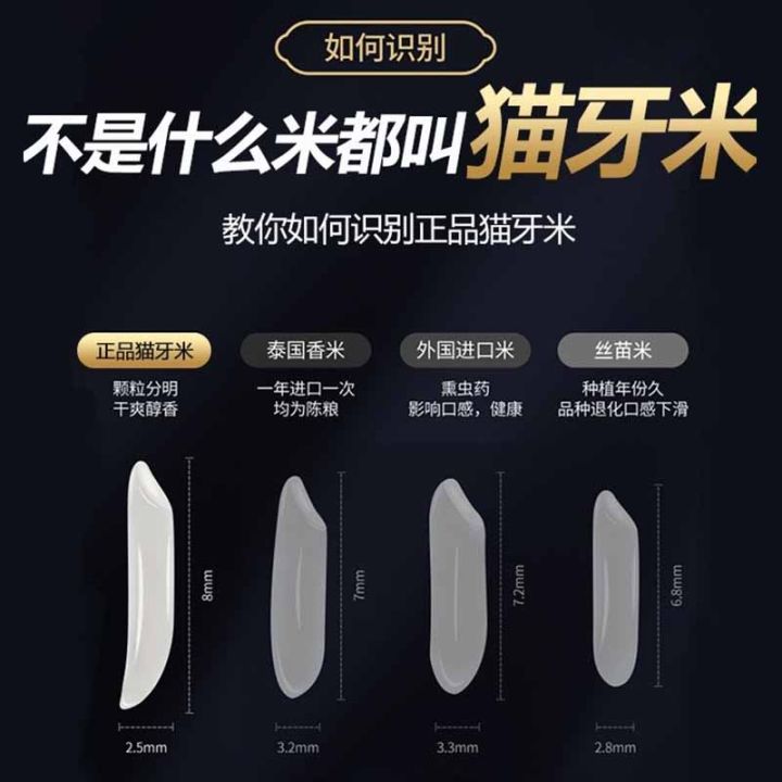 2022 New Rice Cat Tooth Rice Thailand Jasmine Fragrant Rice Super Long ...
